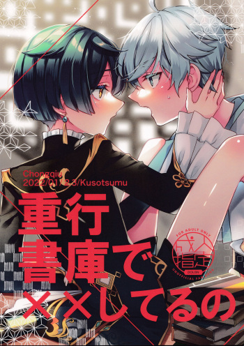 Shigeyuki Shoko de xx Shiteru no cover