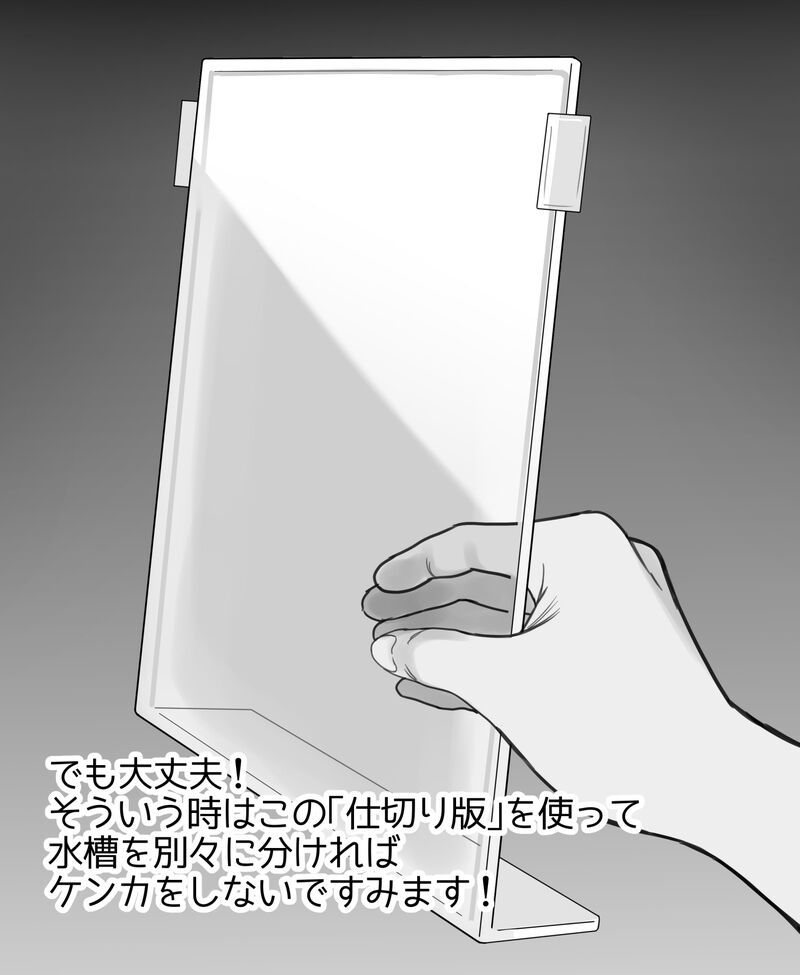 正しい共同生活 page 3 full
