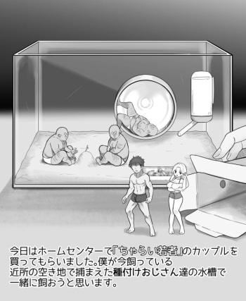 正しい共同生活 cover