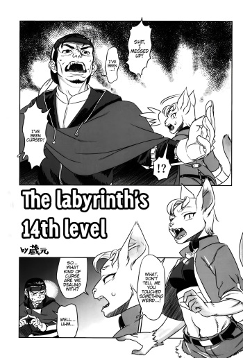 The Labrinth's 14th Level cover