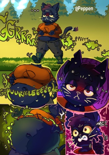 Mae's Forest Walk cover
