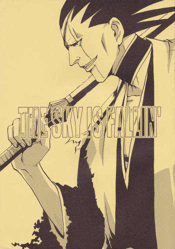 The Sky Is Fallin' cover