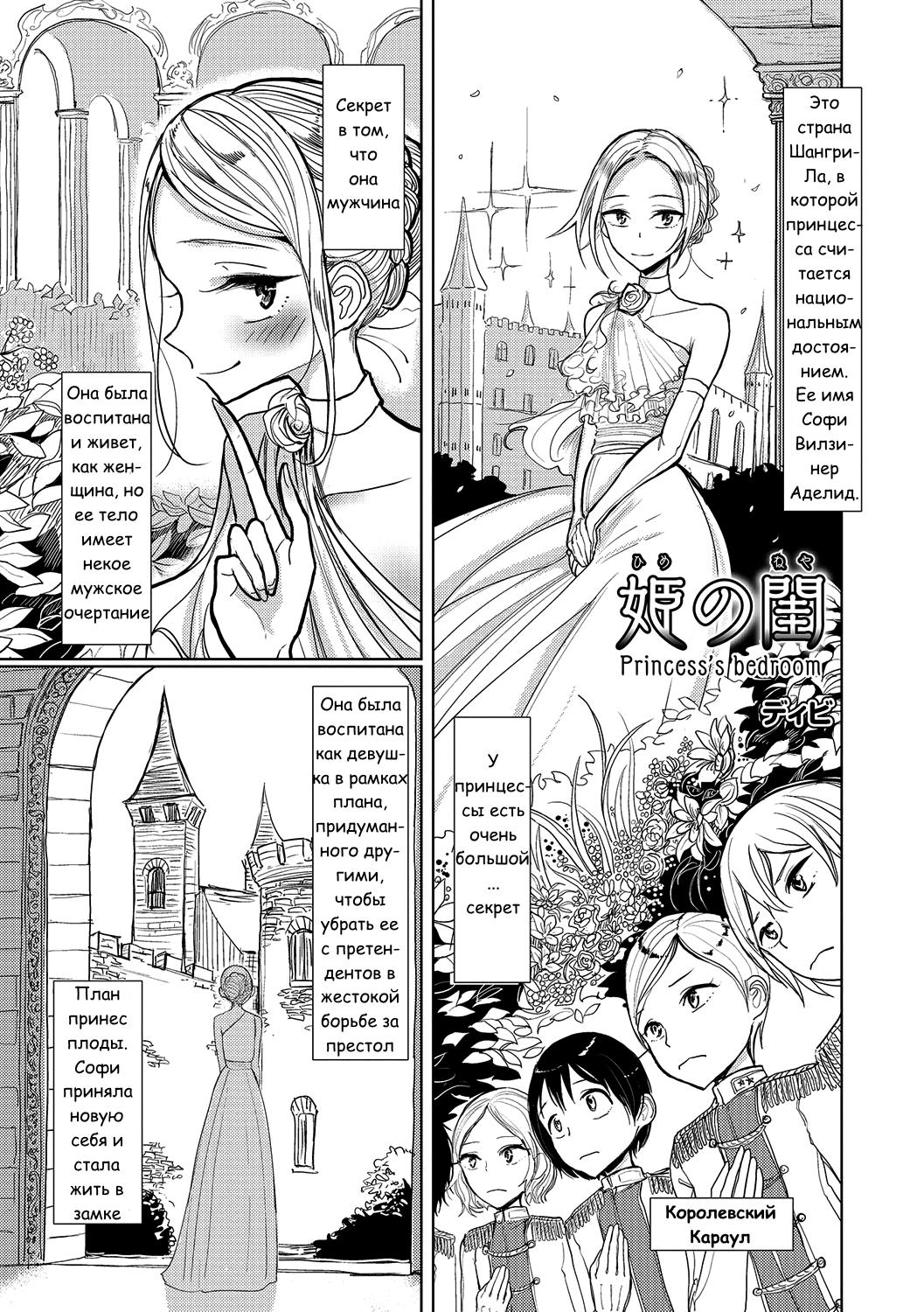 Hime no Neya - Princess's Bedroom page 2 full