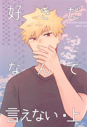 Sukida nante Ienai Jou cover