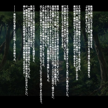 Mikami in the Forest cover