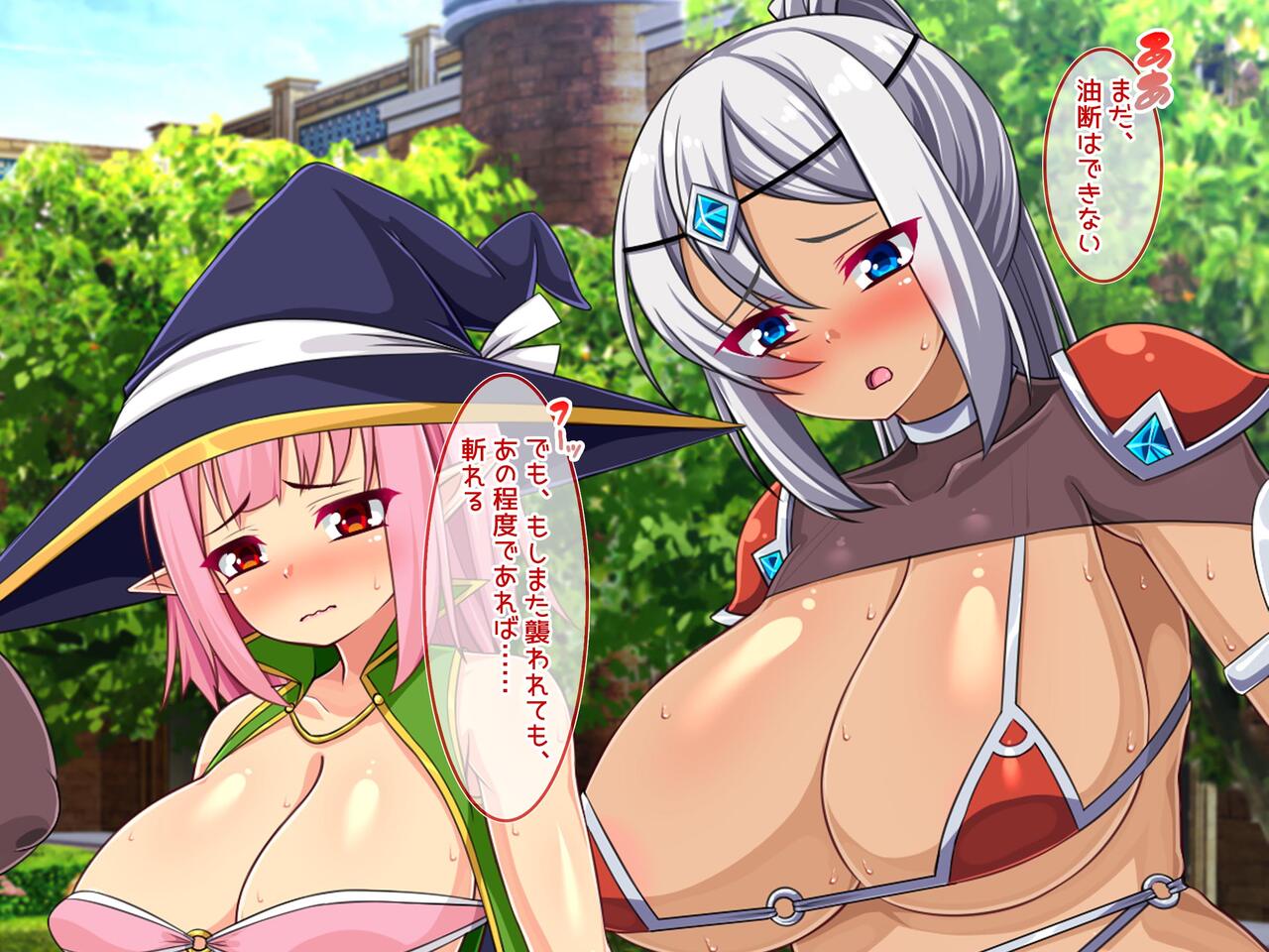 魔物の孕み袋に堕ちた巨乳冒険者たちの異種姦記録 page 4 full