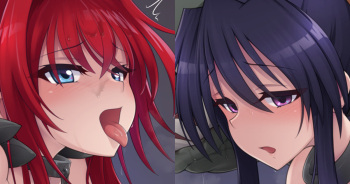 Akeno + Rias cover