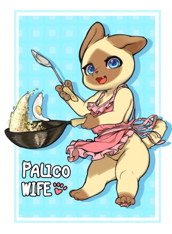 Palico Wife cover